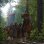 Kingdom Come: Deliverance Edición Especial Xbox One