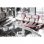 Whirlpool WFC 3C24 PF Lavavajillas Capacidad 14 Cubiertos A++ Blanco
