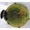 GoPro Fusión Videocámara Deportiva 360º 18 MP