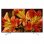 Televisor Sony KD49XF8596 49" LED UltraHD 4K