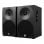 Enceinte Woxter Dynamic Line DL- 410 150W Noir