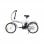 Bicicleta Eléctrica Skateflash Folding E-Bike Blanco