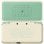Nintendo New 2DS XL Ed. Especial Animal Crossing + Animal Crossing New Leaf Welcome Amiibo