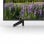 Sony KD-43XF7096 42.5" LED UltraHD 4K
