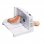 Ritter Markant 01 Cortafiambres Plegable 65W