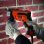Black&Decker KR-604-CRES Taladro Percutor 600W