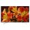 Sony KD85XF8596 85" LED 4K Ultra HD