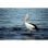 Tamron A17s 70-300mm F4-5.6 Montagem Sony