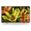 Sony KD-60XF8305 60" LED UltraHD 4K