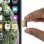 Avizar Bandeja de Substituição para Cartão Nano SIM Dourada para Apple iPhone XS Max