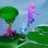 Trover Saves The Universe PS4