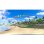Everybody's Golf VR PS4