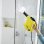 Pulitrice a vapore manuale Karcher SC 1 1200W