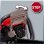 Einhell GC-PC 2040 I Motosierra a Gasolina 2000W