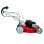 Einhell GC-PM 46/1 S B&S Cortacésped de gasolina 50L