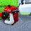 Einhell GC-BC 43 I AS Desbrozadora a Gasolina 1300W