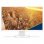 Nec MultiSync E241N 24" LED IPS FullHD Blanco