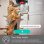 TP-Link Kasa Smart Spot Cámara de Vigilancia  Wifi FullHD