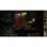 Planescape Torment & Icewind Dale: Enhanced Editions Nintendo Switch