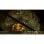 Planescape Torment & Icewind Dale: Enhanced Editions Nintendo Switch