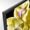 Sony KD-43XG8096 43"  LED UltraHD 4K