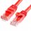 Cable de Red UTP Cat.6 50cm Vermelho
