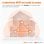 Tenda Nova MW6 Sistema WiFi Mesh Dual Band Gigabit Pack 3 Unidades