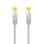Nanocable Cabo de Rede RJ45 LSZH Cat.6A SFTP AWG26 2m Cinzento