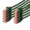 Digitus DK-1644-0025-G-10 Netzwerkkabel Grün 0,25 m Cat6 S/FTP (S-STP)