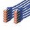 Digitus 10x Cabos de Rede Cat6 S/FTP S-STP 0.25 m Azuis