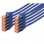 Digitus Cabo de Rede S-FTP Cat. 6 LSZH 2m Azul 10 Unidades