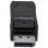 StarTech.com DP2HD4KADAP Kabeladapter Schwarz