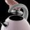 Russell Hobbs Bubble 24402-70 Hervidor 2300W Rosa