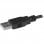 StarTech.com MSTDP122DP Videosplitter