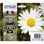 Epson Daisy Multipack Margherita quattro colori Inchiostri Claria Home 18