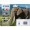 Cartucho de tinta Epson Elephant 24XL Multipack 6 cores alto rendimento