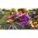 Bayonetta 2 Nintendo Switch Nintendo eShop
