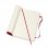 Moleskine Classic Grand Carnet 192 Pages Lignées Couverture Souple Rouge