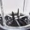 Moulinex PerfectMix+ LM82AD10 Batidora de Vaso 1200W
