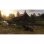 Red Dead Redemption 2 PC