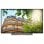 Toshiba 49UL3A63DG 49" LED UltraHD 4K