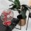 HKoenig JOE50 Ventilador Retro Rojo