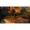 The WItcher 3: Wild Hunt Complete Edition Nintendo Switch