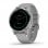Garmin Vivoactive 4S Smartwatch Gris/Plata