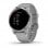 Garmin Vivoactive 4S Smartwatch Gris/Plata