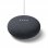 Pack Google Nest Mini Carbon + TP-LINK LB120 Lâmpada Inteligente Wi-Fi Branco