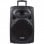 Dynasonic Dynapro 15 Altavoz Bluetooth con Karaoke y Micrófonos