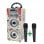 Dynasonic Karaoke 025 Altavoz Bluetooth con Karaoke y 2 Micrófonos Graffiti