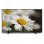 Philips 58PUS6504 58" LED UltraHD 4K HDR10+