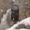 Zagg Braven BRV-360 Coluna Bluetooth Preto